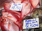 San Sebastian Spain Market