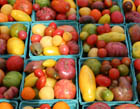 Union Square Food Market